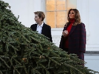 Пристигна елхата за Белия дом