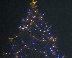 Коледната елха в Гоце Делчев грейва на 7 декември