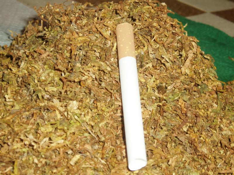 Снимка: МВР, архив