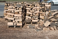 ЮЗДП достави дърва за огрев за приюта на отец Иван в Нови хан