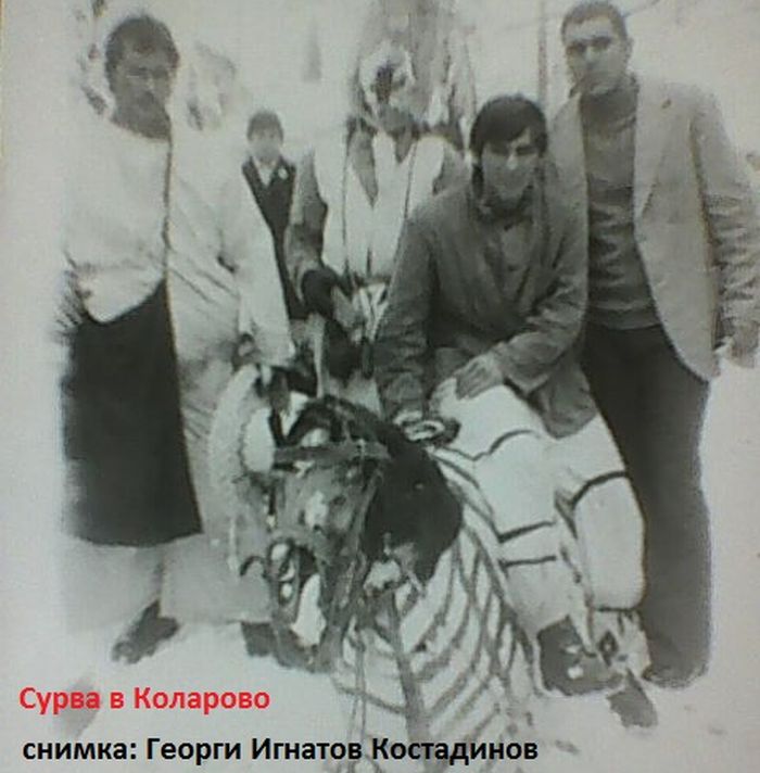 Снимка: Личен архив
