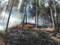 Пожар на косъм да погълне къщи в село Плетена