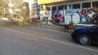 Дърво се стовари в час пик на най-оживената улица в Благоевград