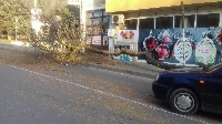 Дърво се стовари в час пик на най-оживената улица в Благоевград