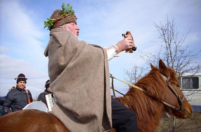 Снимка: Димитър Тренчев