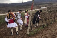 Зарезански празник край лозята на Костадин Чорбаджийски в Митиново