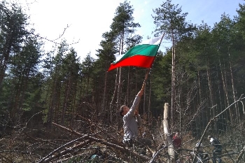 Започнаха доброволческите акции по залесяване в ЮЗДП