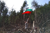 Започнаха доброволческите акции по залесяване в ЮЗДП