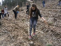 Ученици от Белица залесяват 2 дка гора в Трестеник