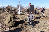 Служители на ЮЗДП и доброволци залесиха 4 декара нова гора