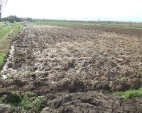Дига на водоем в Петричко се скъса, под вода са 1500 дка земеделски площи