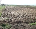 Дига на водоем в Петричко се скъса, под вода са 1500 дка земеделски площи