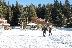 Дипломати правят шоу на ски на Шилигарника