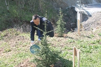 Експерти от ЕС засадиха европейска гора в Рила планина
