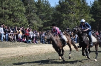 Чужденци строят конна база край Банско, ще обучават ездачи
