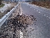 Пет месеца след откриването автомагистрала Струма край Благоевград вече се руши