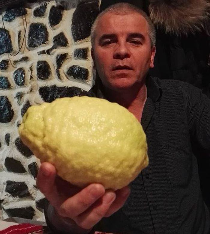 По лимоните ще ги познаете...