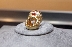 Рапърът Дрейк е броил над милион долара за пръстена на Тупак Шакур